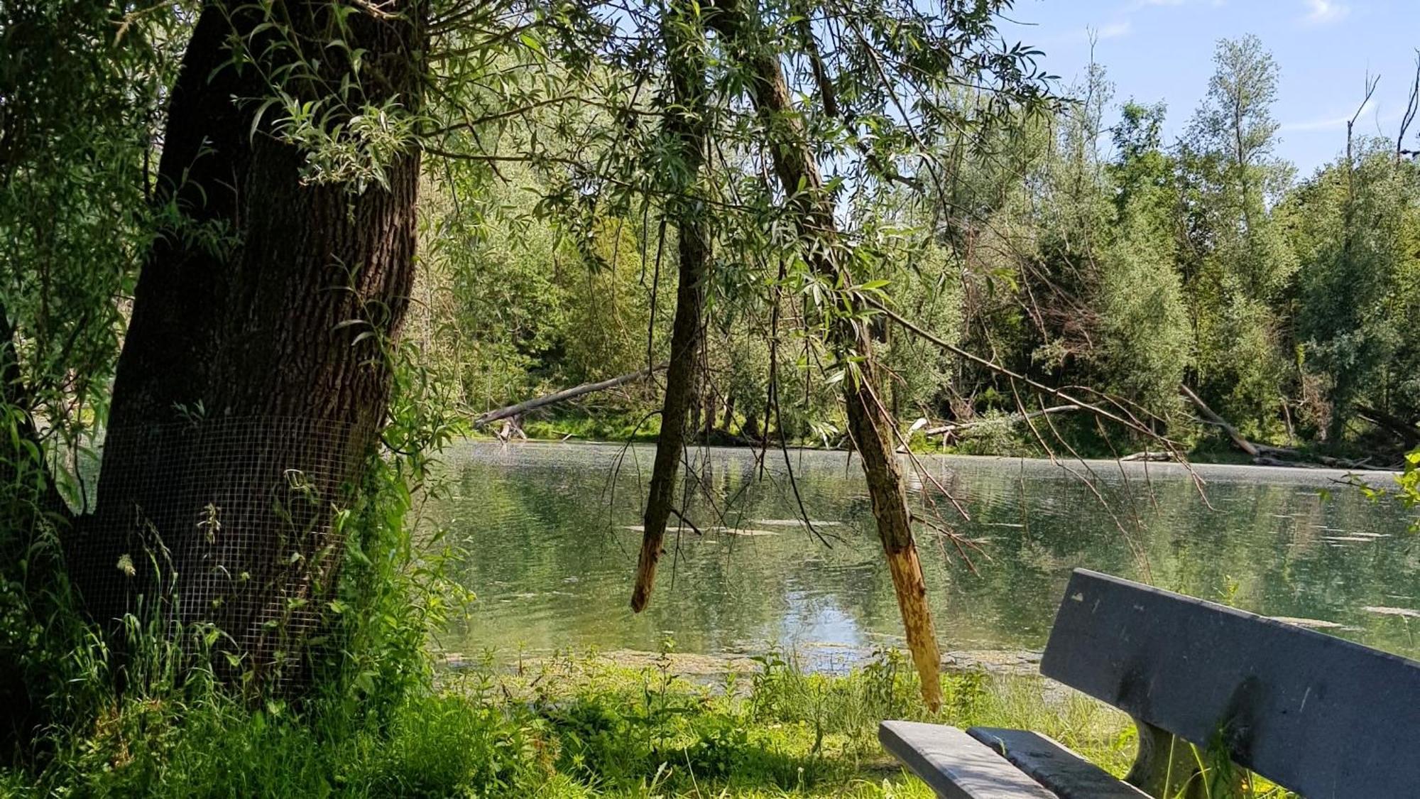Guesthouse De Wissen Dilsen-Stokkem Εξωτερικό φωτογραφία