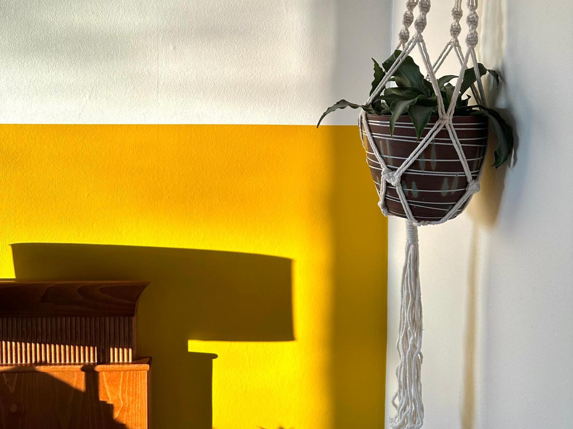 Guesthouse De Wissen Dilsen-Stokkem Εξωτερικό φωτογραφία